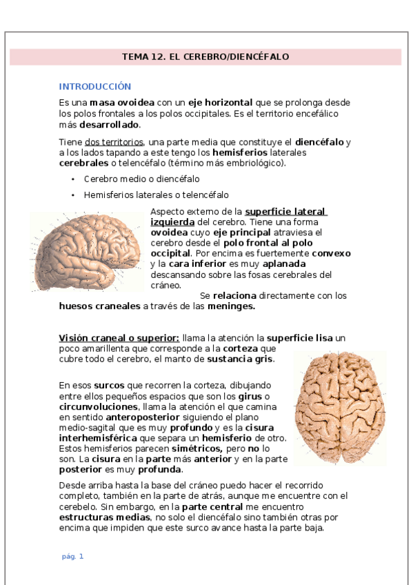 Miniatura del documento Tema-10.docx
