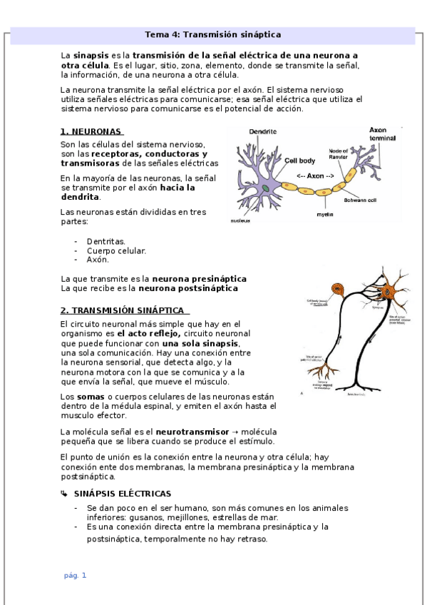 Miniatura del documento Tema-4.docx
