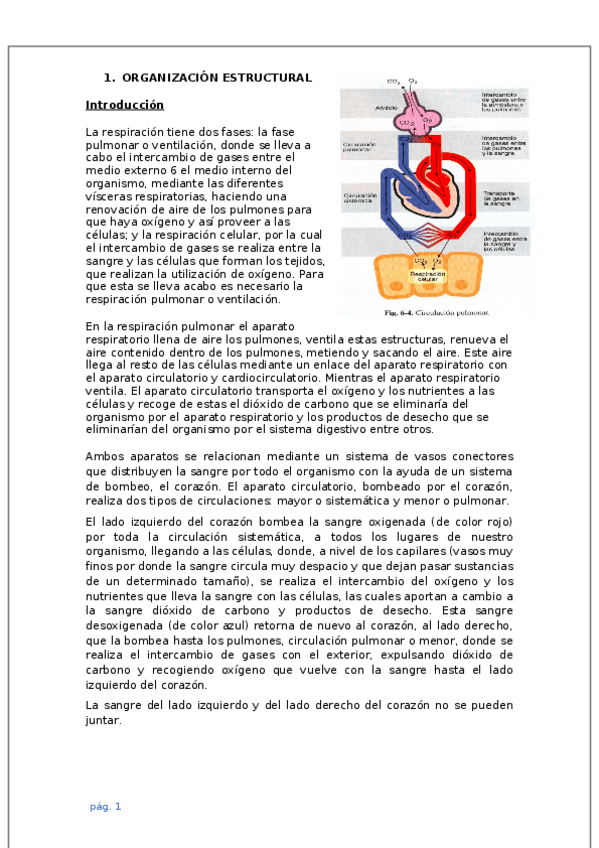 Miniatura del documento Tema-7-.docx