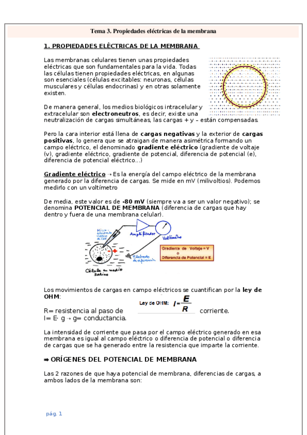 Miniatura del documento Tema-3-.docx
