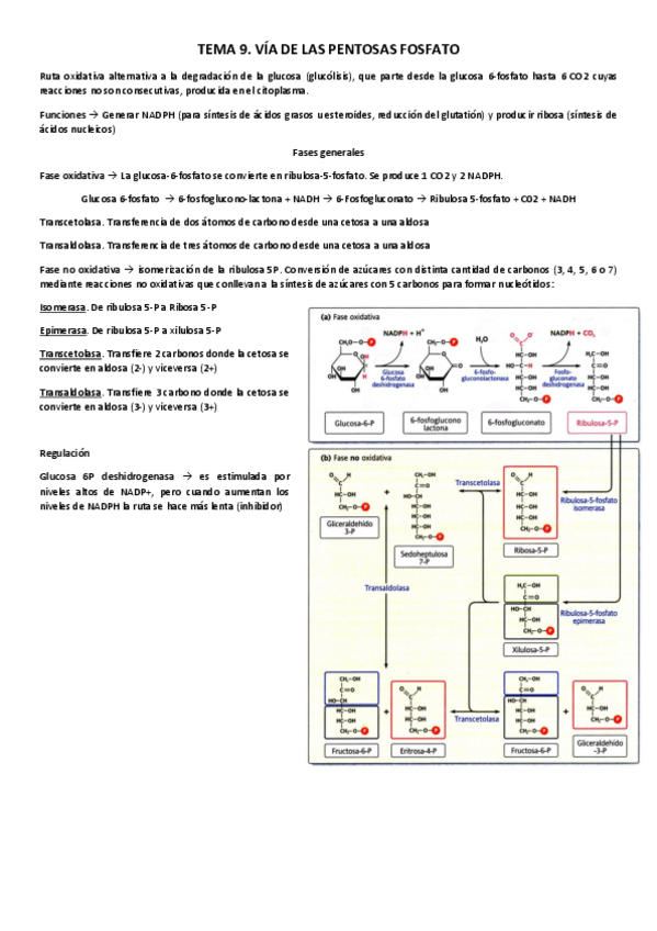 Miniatura del documento Tema-9.pdf