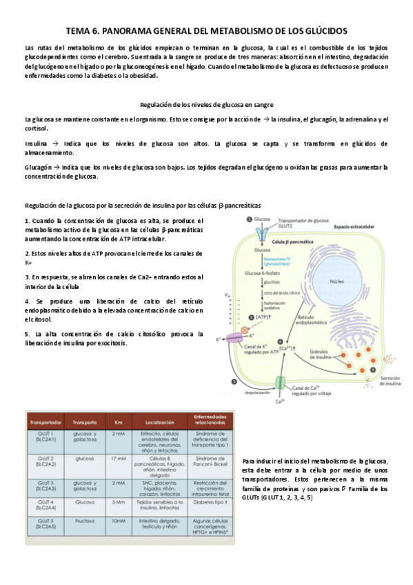 Miniatura del documento Tema-6.pdf