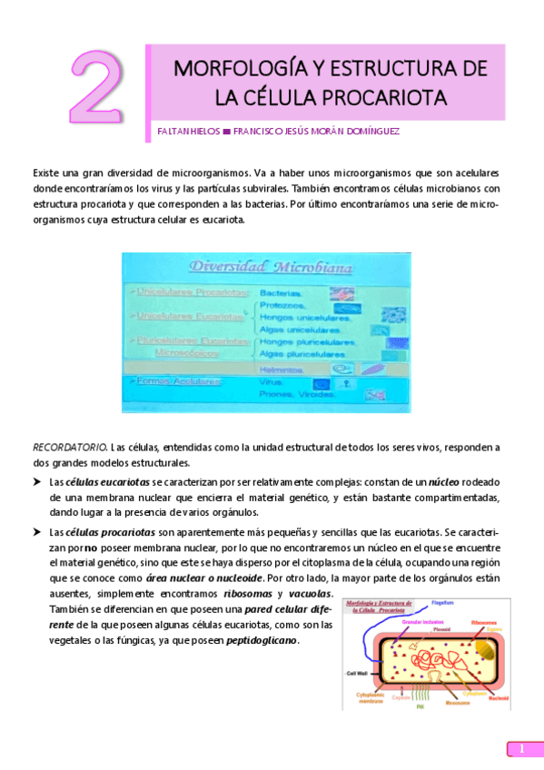 Miniatura del documento 2.pdf