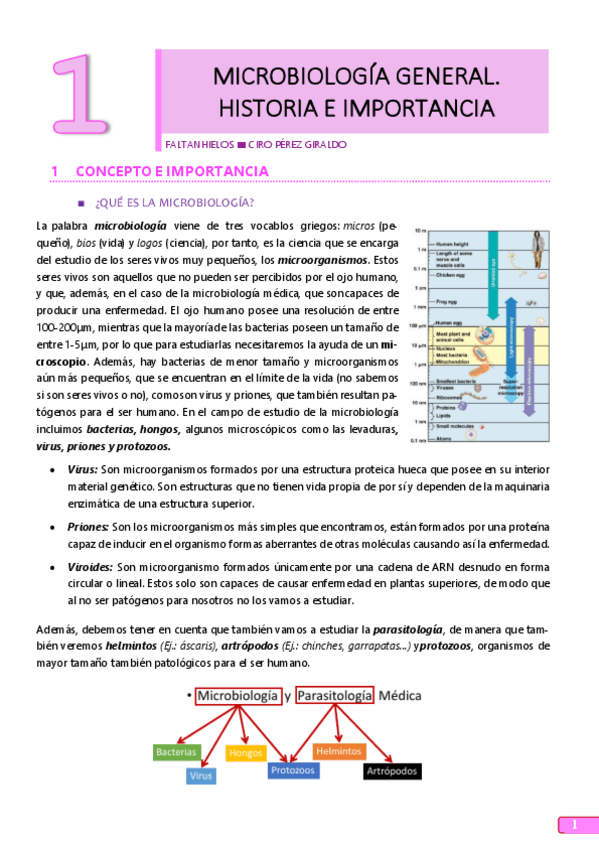 Miniatura del documento 1.pdf