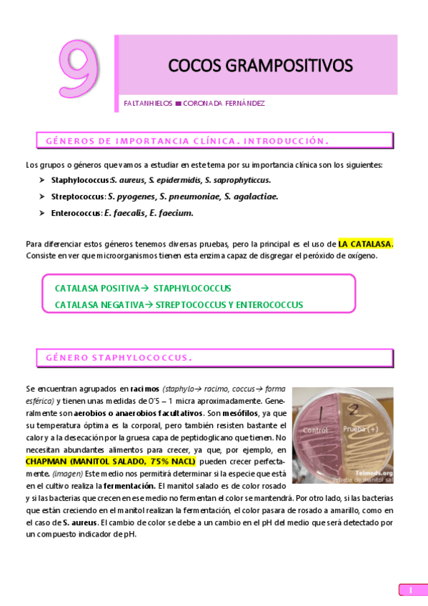 Miniatura del documento 9.pdf