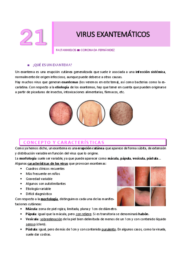 Miniatura del documento 21.pdf