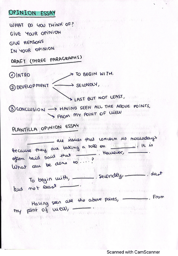 Miniatura del documento OPINION.pdf