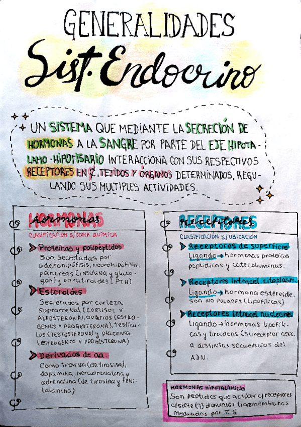 Miniatura del documento TP-1-ENDOCRINO-GENERALIDADES.pdf