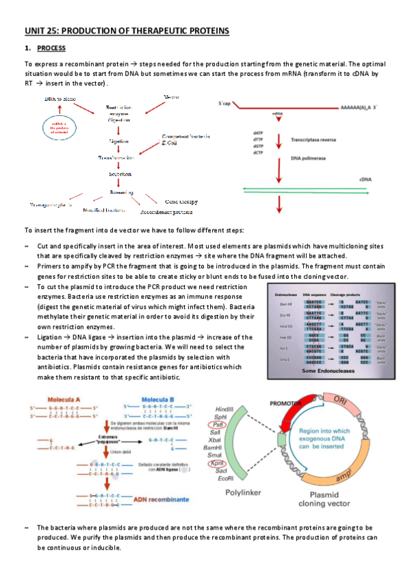 Miniatura del documento UNIT-25.pdf