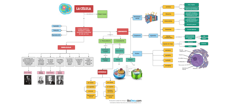 Miniatura del documento LA-Celula.pdf
