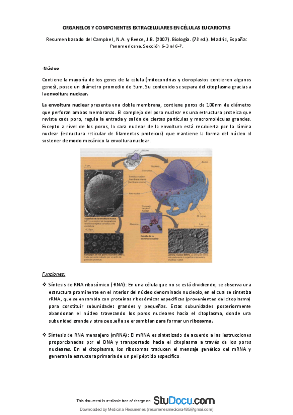 Miniatura del documento Separata-Organelas-y-componentes-extracelulares-de-una-celula-eucariota.pdf