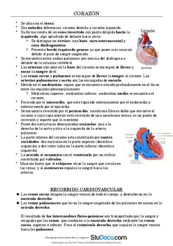 Miniatura del documento Anatomia-corazon.pdf
