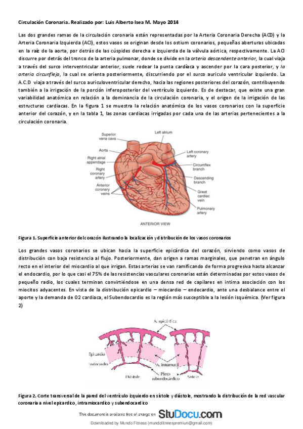 Miniatura del documento Circulacion-Coronaria-fisiologia-cardiovascular-irrigacion-del-corazon.pdf