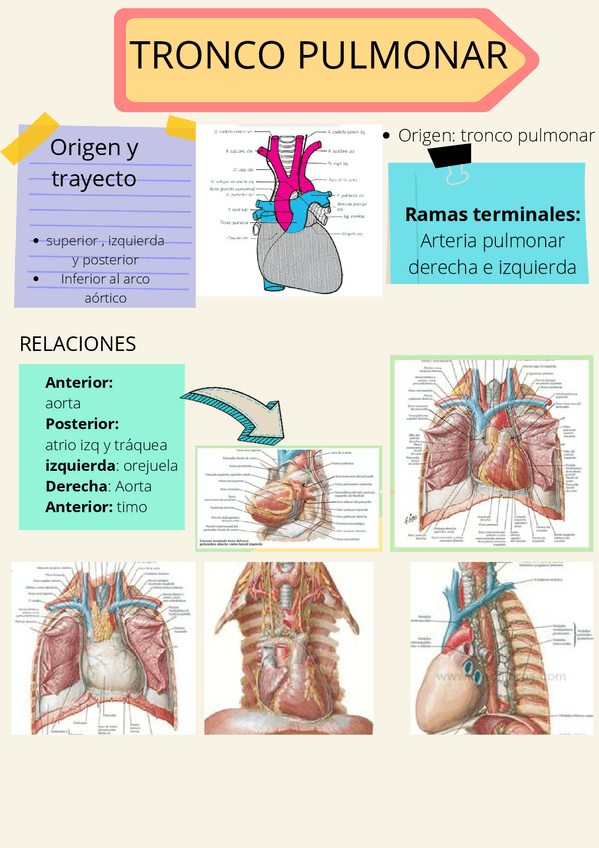 Miniatura del documento Acampar-Regreso-a-Clases-Aula-Salon-Poster-para-la-Puerta.pdf