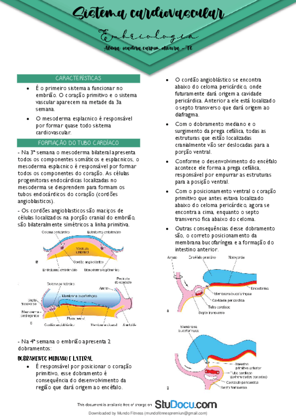 Miniatura del documento Morfologia-sistema-cardiovascular-embrio.pdf