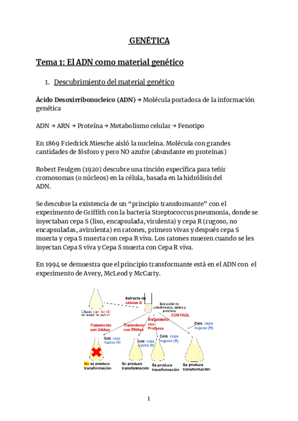 Miniatura del documento PIM-MOL-II.pdf
