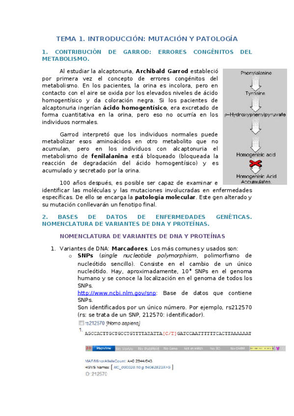 Miniatura del documento Tema 1. Introducción. Mutación y Patología.docx