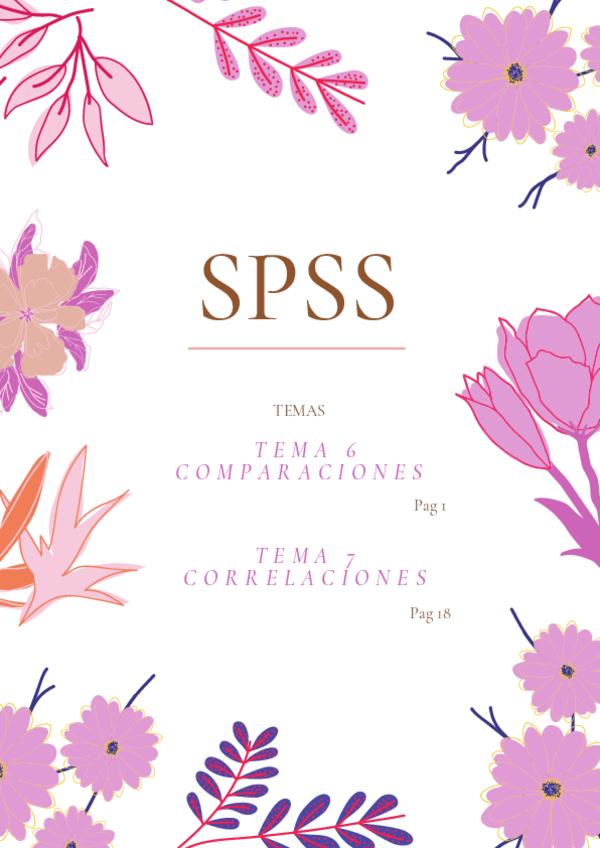 Miniatura del documento SPSS-2.pdf