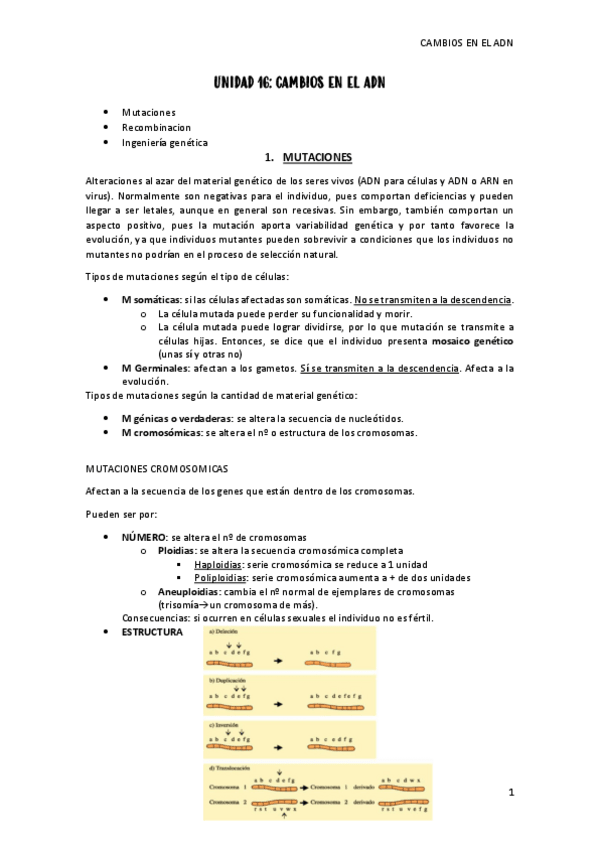 Miniatura del documento UNIDAD-16-cambios-adn.pdf