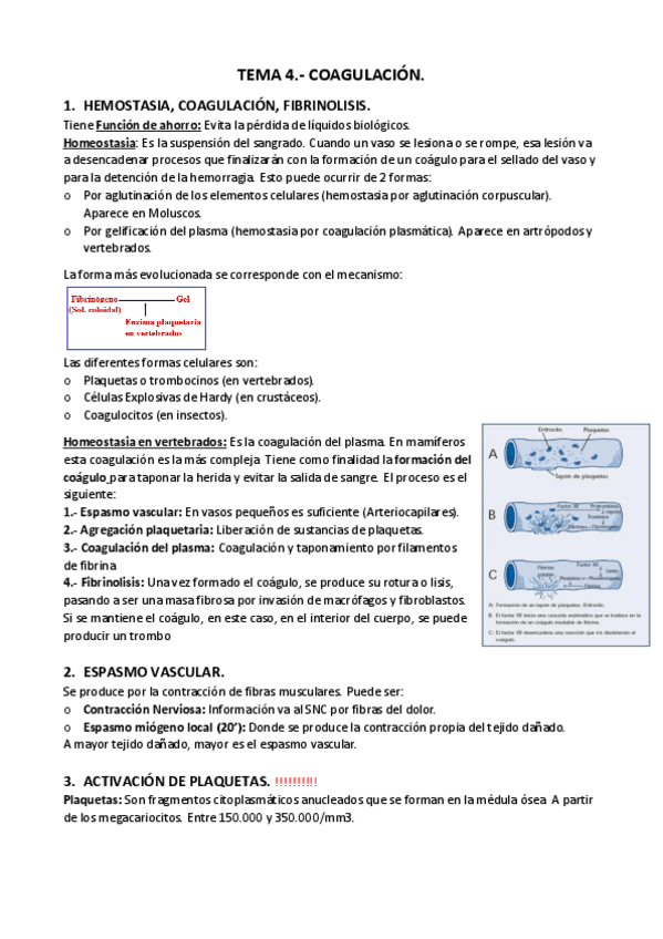 Miniatura del documento Tema-4.pdf