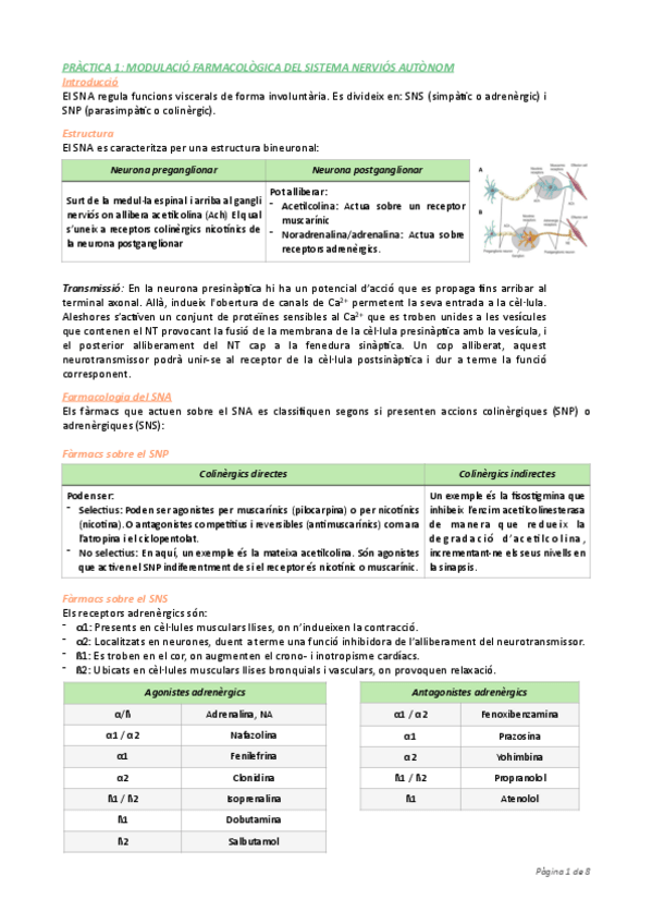 Miniatura del documento Practiques.pdf