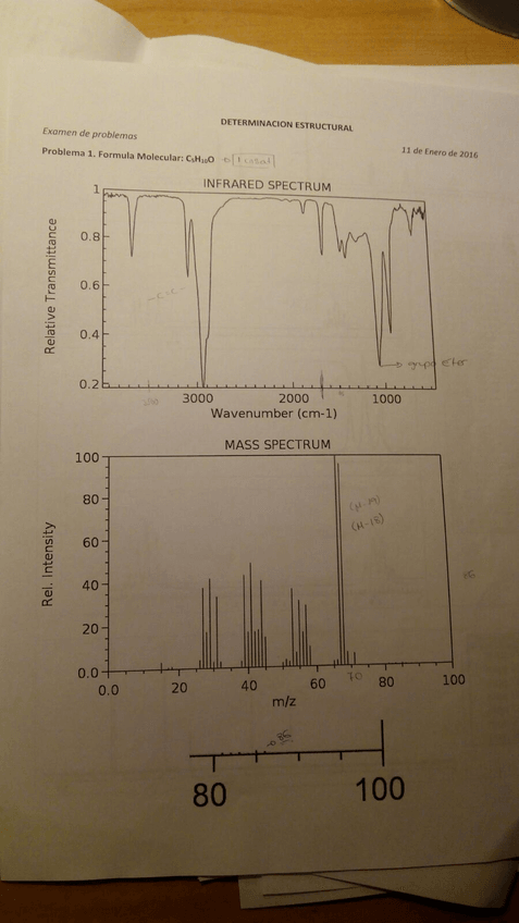 Miniatura del documento IMG_3910.JPG