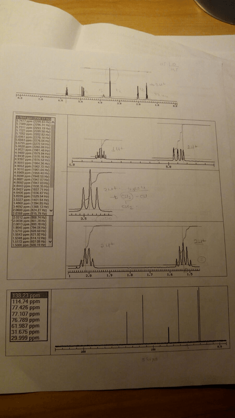 Miniatura del documento IMG_3911.JPG