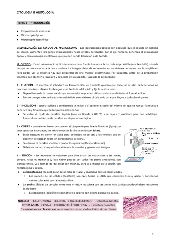 Miniatura del documento CITOLOGIA-E-HISTOLOGIA-1o-CUATRI.pdf