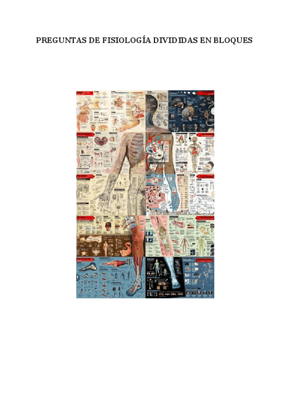 Miniatura del documento PREGUNTAS-DE-FISIOLOGIA-DIVIDIDAS-EN-BLOQUES.pdf