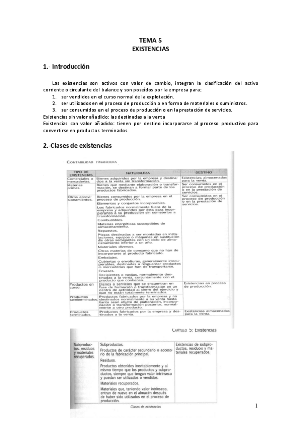 Miniatura del documento TEMA-5-Existencias.pdf