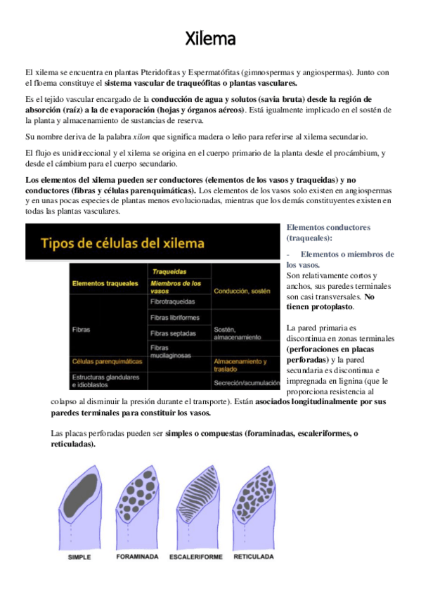 Miniatura del documento Xilema.pdf