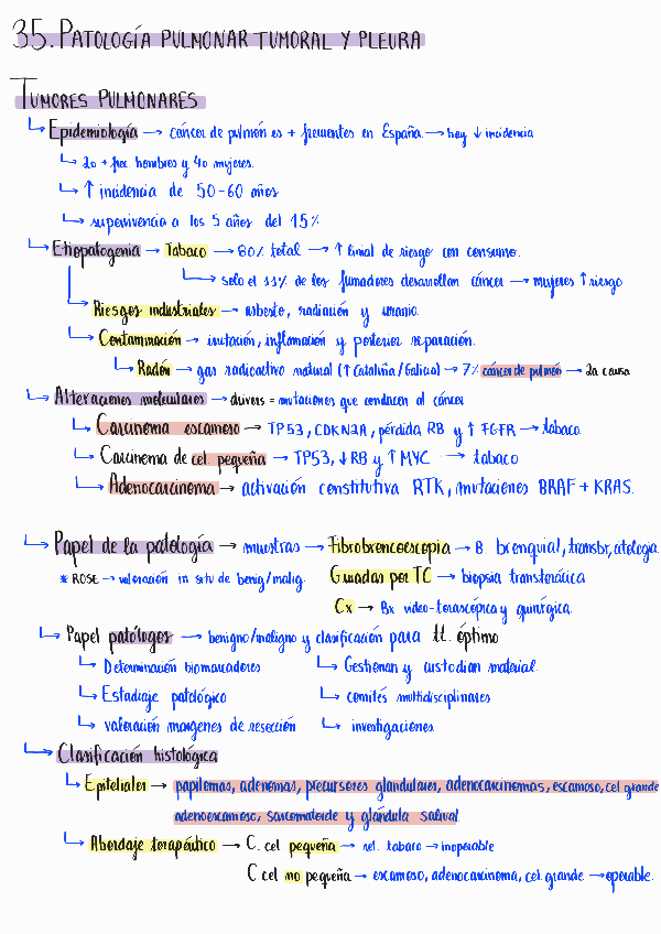 Miniatura del documento Resums-meus-pem-1.pdf