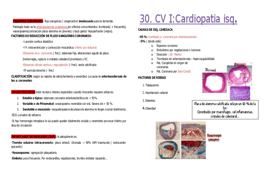 Miniatura del documento Resums-pem-30-34220411143719-1.pdf