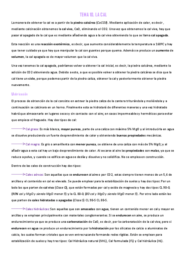 Miniatura del documento TEMA-10.pdf