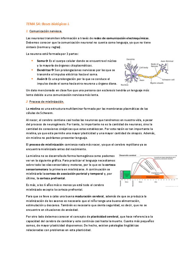 Miniatura del documento TEMA-5-COMPLETO.pdf