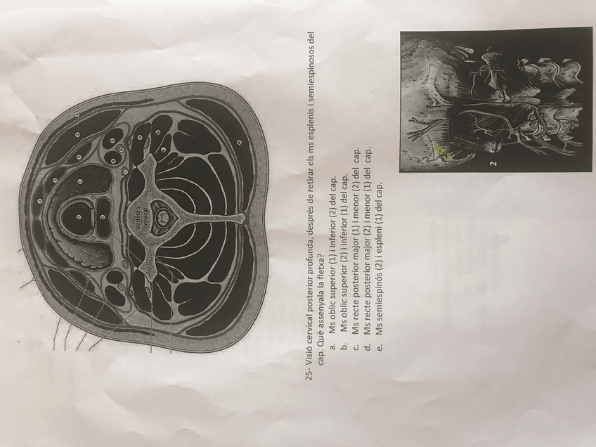 Miniatura del documento IMG9296.jpg