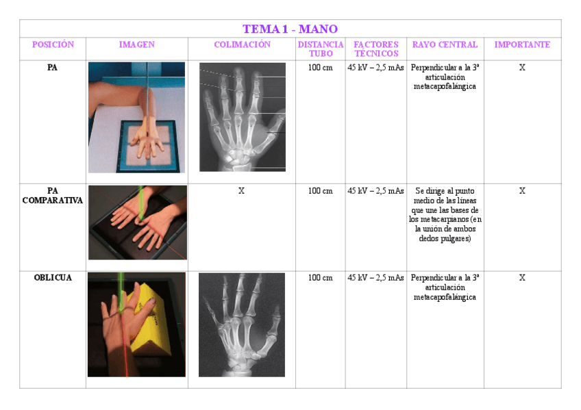 Miniatura del documento TEMA-1-MANO-Y-DEDOS.pdf