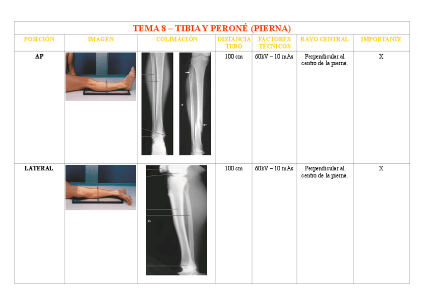 Miniatura del documento TEMA-8-TIBIA-Y-PERONE-PIERNA.pdf