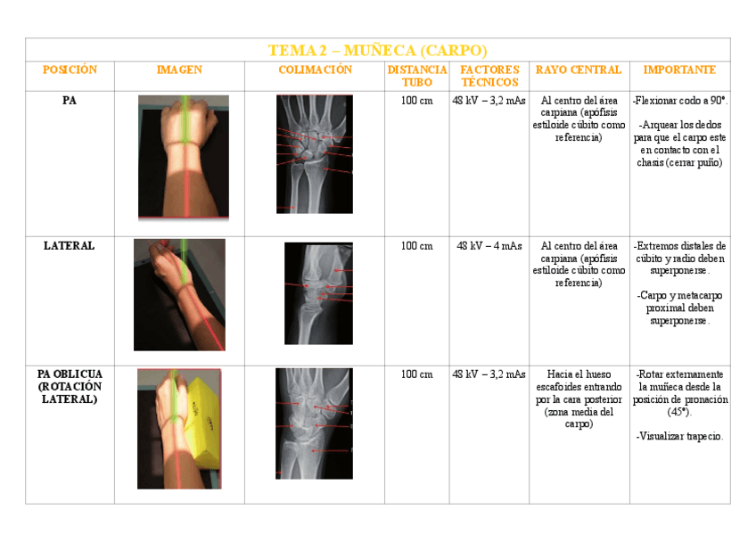 Miniatura del documento TEMA-2-MUNECA-CARPO.pdf