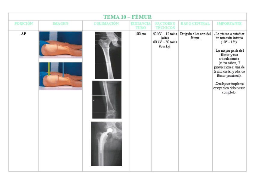 Miniatura del documento TEMA-10-FEMUR.pdf
