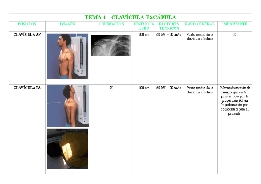 Miniatura del documento TEMA-4-ESCAPULA-CLAVICULA.pdf