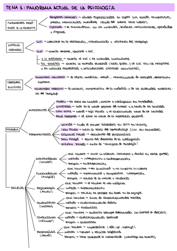 Miniatura del documento Resumenesesquemas-Psicologia-.pdf