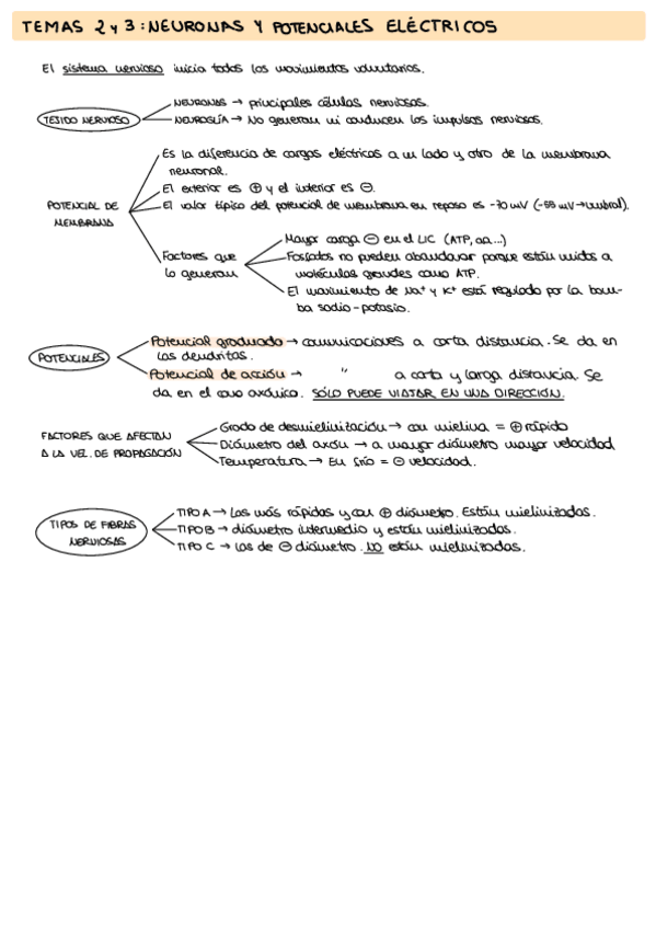 Miniatura del documento Esquemasresumenes-Fisiologia.pdf