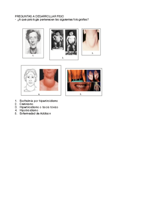 Miniatura del documento cuestiones-fisio.pdf