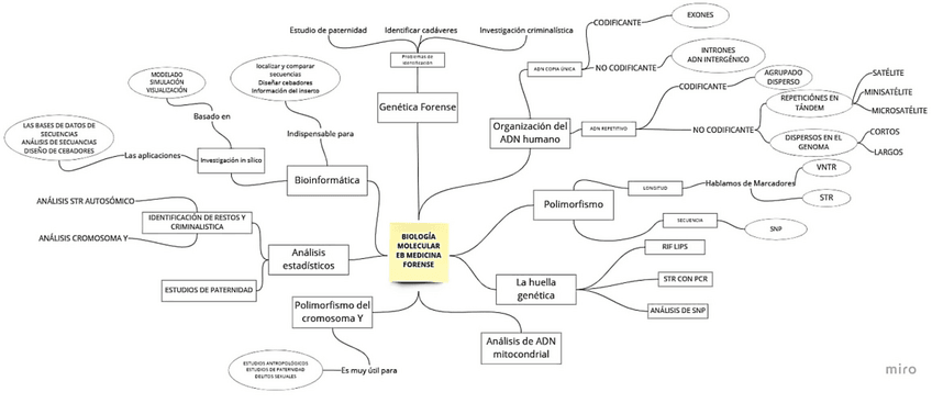 Miniatura del documento Esquema-T-12-medicina-forenes-.pdf