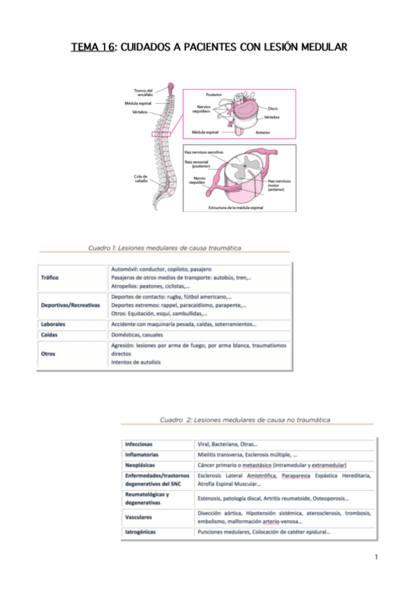 Miniatura del documento Tema-16.pdf