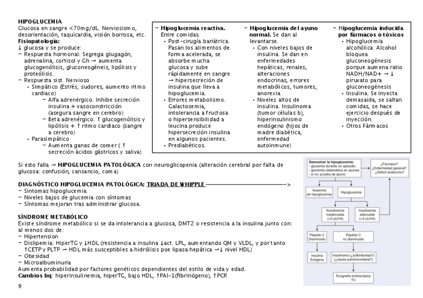 Miniatura del documento hipoglucemia.pdf