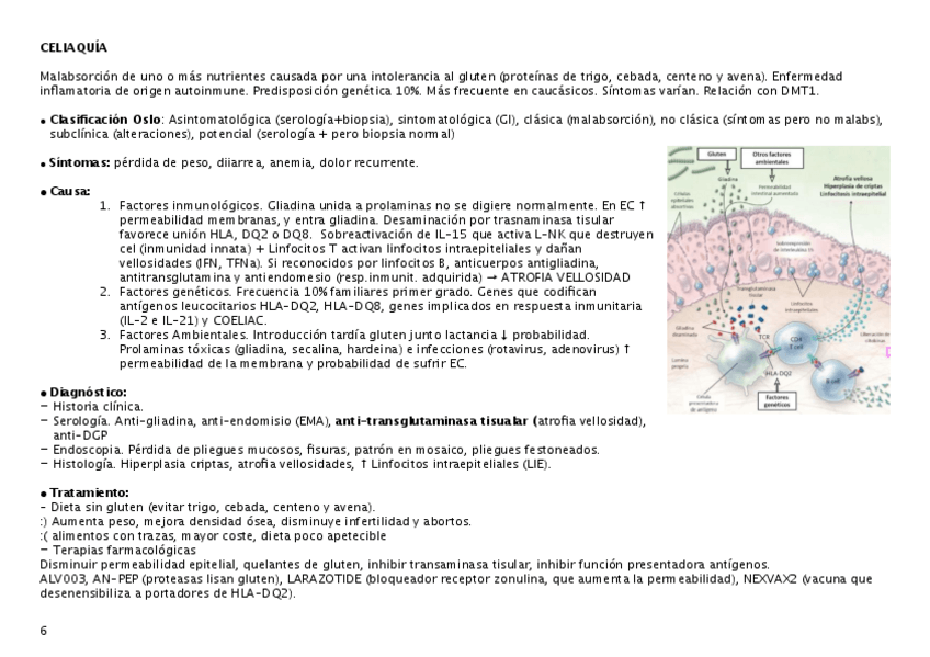 Miniatura del documento celiaquia.pdf