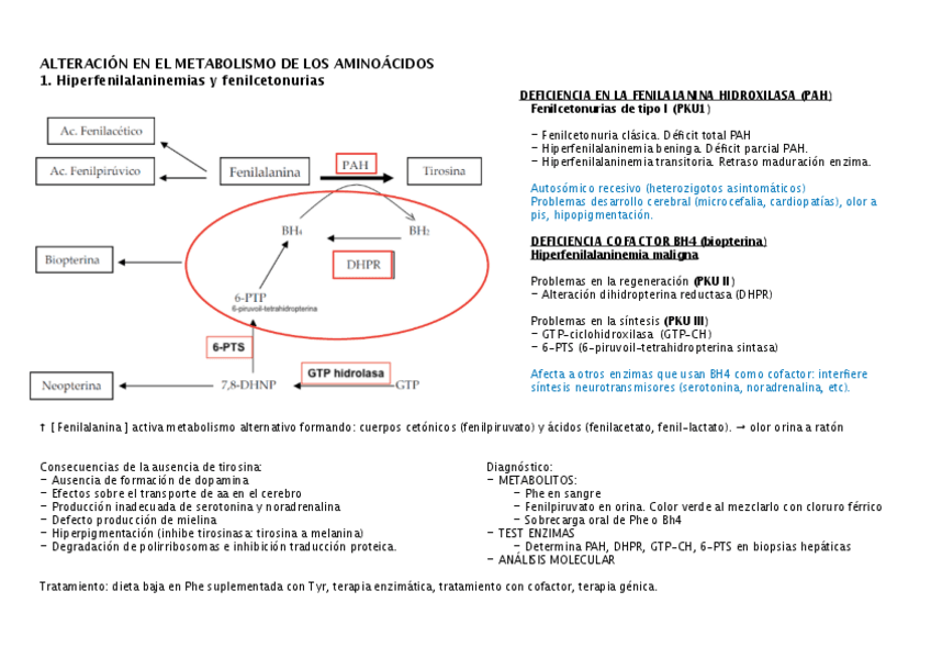 Miniatura del documento alteracion-metabolismo-aa-tema-7.pdf