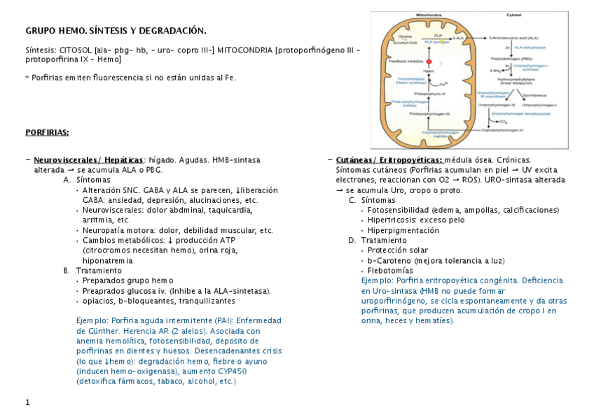Miniatura del documento grupo-hemo.pdf